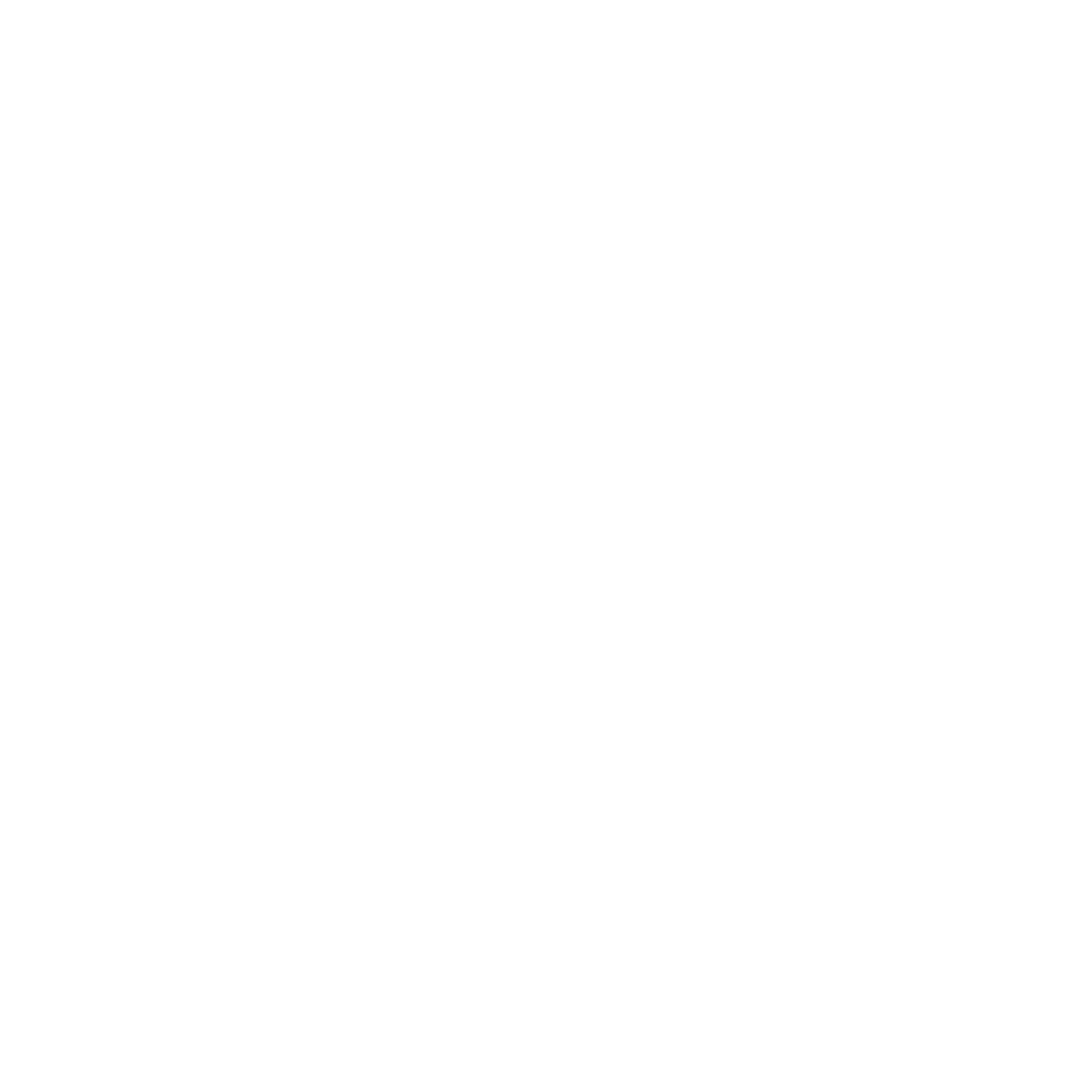 Reset Kinesitherapie Logo